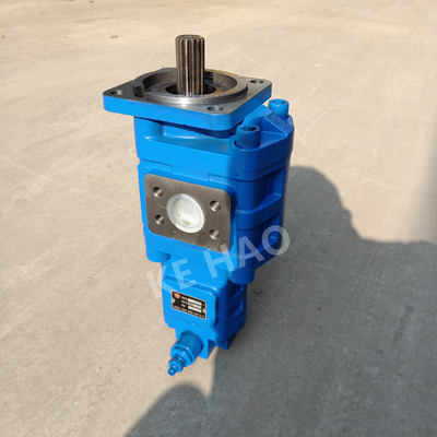 CBGJ는 펌프 사각 덮개 스플라인 기계장치와 차량 설계를 위한 파란 조밀한 본래 장치 펌프를 두배로 합니다