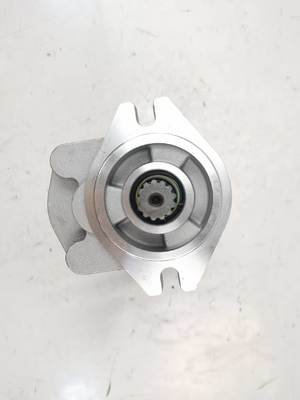 CBKZ-F452-A1L2Φ13T 굴삭기, 로더, 드릴, 크레인용 중고압 유압 기어 펌프