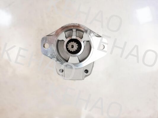 1년 보증 중압 및 고압 외부 매시 기어 펌프 D41-6E+40-28CCR 11Kw 1060