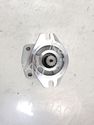 SD1A3016R217 13T ((CBHZL-F25+F16-A1T7Φ13) 수압 기어 펌프 스티어링 및 전력 장치 가와사키 기계에 사용되는 수압 예비 부품