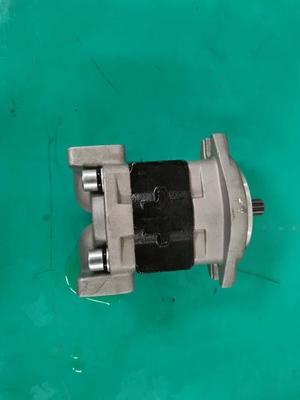 OEM Gear Pump SGP1AF25-ALΦ9 R  SGP Series Siver And Black